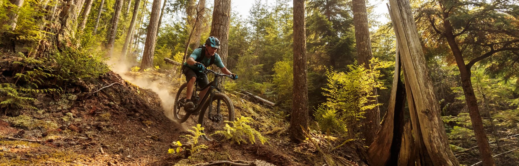 Mountain biker on Galbraith Mountain trails